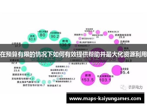 在预算有限的情况下如何有效提供帮助并最大化资源利用