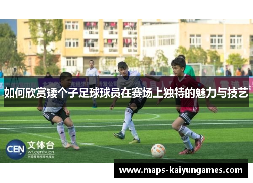 如何欣赏矮个子足球球员在赛场上独特的魅力与技艺