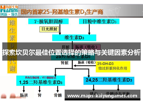 探索坎贝尔最佳位置选择的策略与关键因素分析 探索坎贝尔最佳位置选择的策略与关键因素分析
