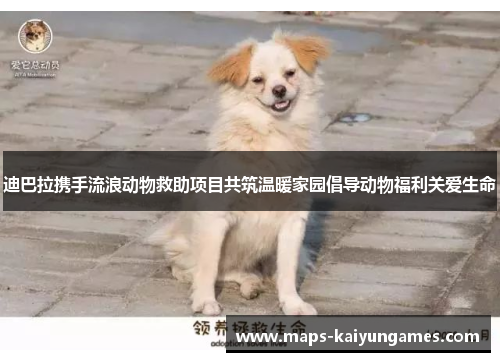 迪巴拉携手流浪动物救助项目共筑温暖家园倡导动物福利关爱生命